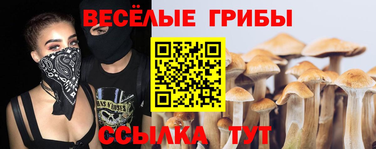 Псилоцибиновые грибы MAGIC MUSHROOMS Еманжелинск